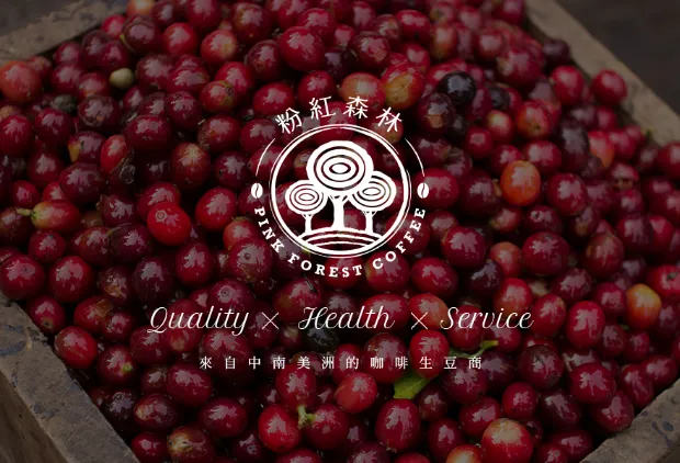 [台北網站設計公司] 粉紅森林咖啡生豆商 RWD形象官網 網站設計