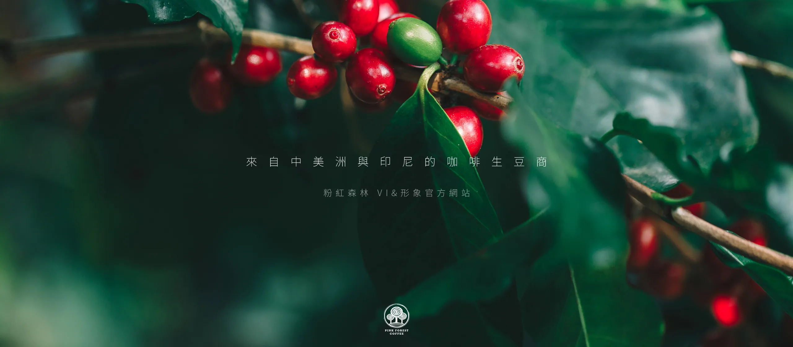 台北 粉紅森林咖啡生豆商 RWD形象官網/網站設計/平面設計/dm設計/型錄設計/展場設計