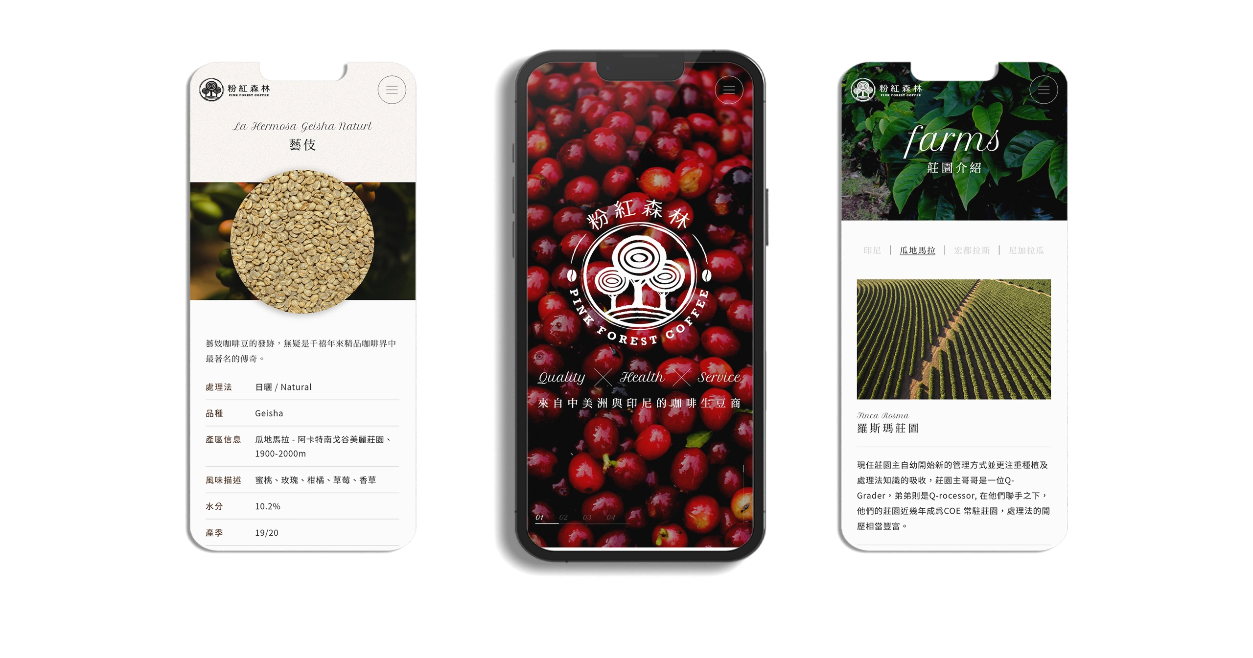 台北 粉紅森林咖啡生豆商 RWD形象官網/網站設計/平面設計/dm設計/型錄設計/展場設計 電腦版(13)