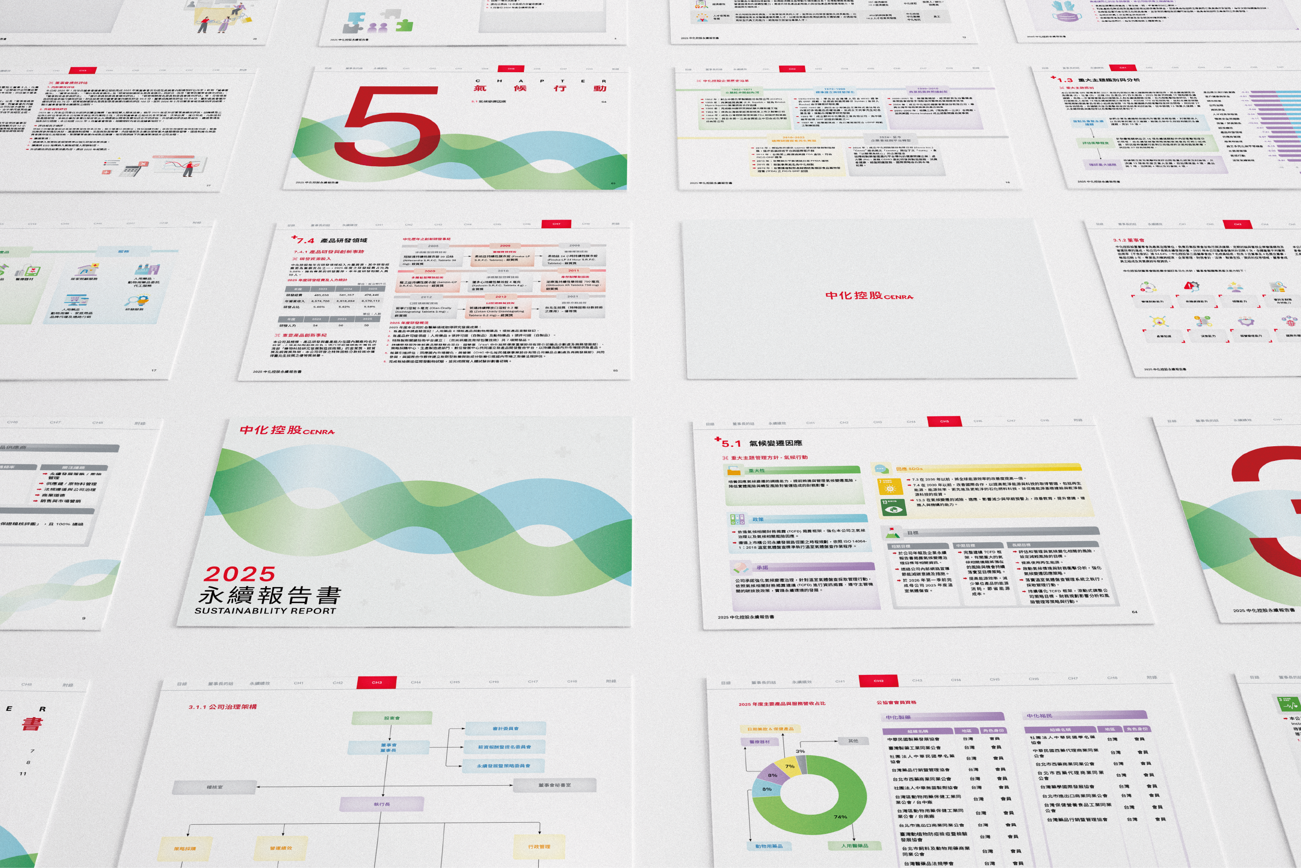 中化控股 2025 ESG 永續報告書 美編排版設計 [書本設計/平面設計/書本印刷設計/排版設計/CSR企業社會責任報告書美編排版設計/ESG永續報告書美編排版設計/ESG永續報告書網站設計]電腦版(11)